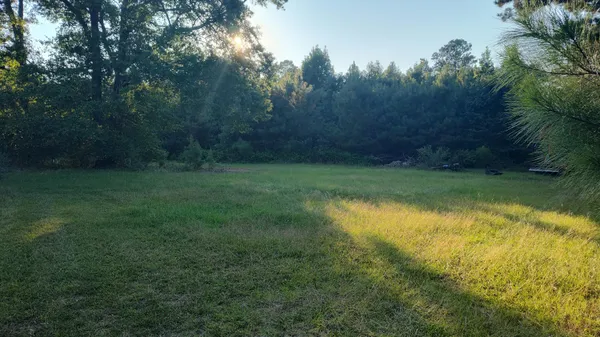 $150,000 | 0 Davis Terrace, St. George, SC 29477
