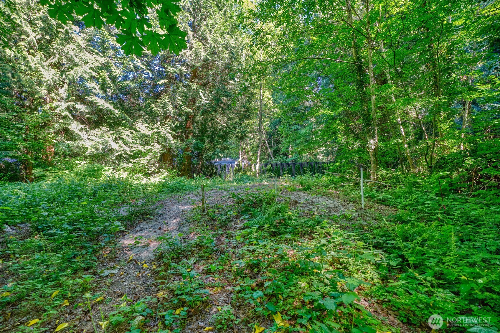1885 Province Road Point Roberts, WA 98281 - Photo 10 of 16