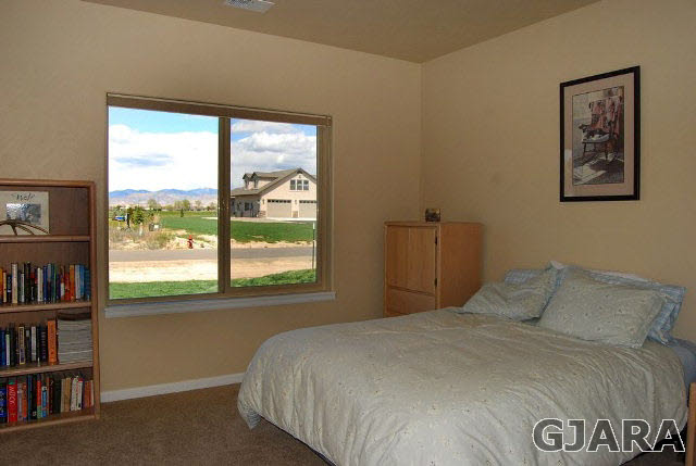 2003 Roma Avenue Fruita, CO 81521 - Photo 16 of 23 a bedroom with a bed and a large window