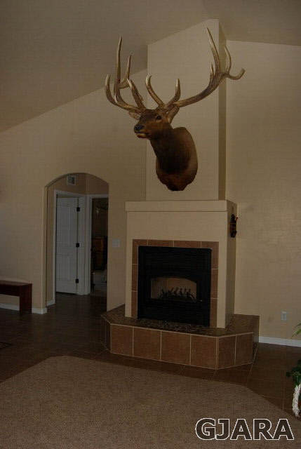2003 Roma Avenue Fruita, CO 81521 - Photo 18 of 23 a living room with a fireplace