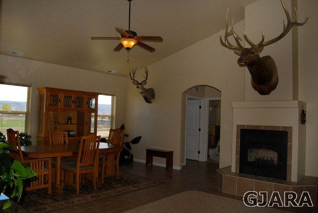 2003 Roma Avenue Fruita, CO 81521 - Photo 4 of 23 a view of a livingroom with furniture chandelier fan and a fireplace