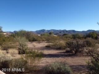 18948 East Lazo Court, Unit 463 Rio Verde, AZ 85263 - Photo 2 of 8 NE Mountain View