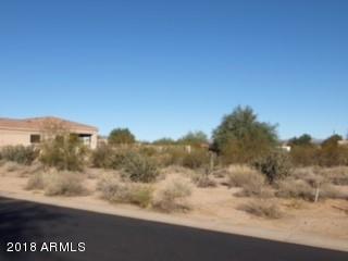 18948 East Lazo Court, Unit 463 Rio Verde, AZ 85263 - Photo 4 of 8 View from Street