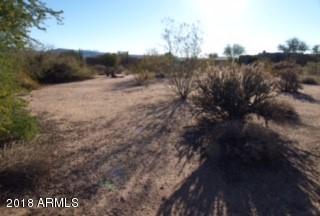 18948 East Lazo Court, Unit 463 Rio Verde, AZ 85263 - Photo 5 of 8 View to the South