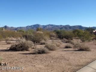 18948 East Lazo Court, Unit 463 Rio Verde, AZ 85263 - Photo 8 of 8 View to the East
