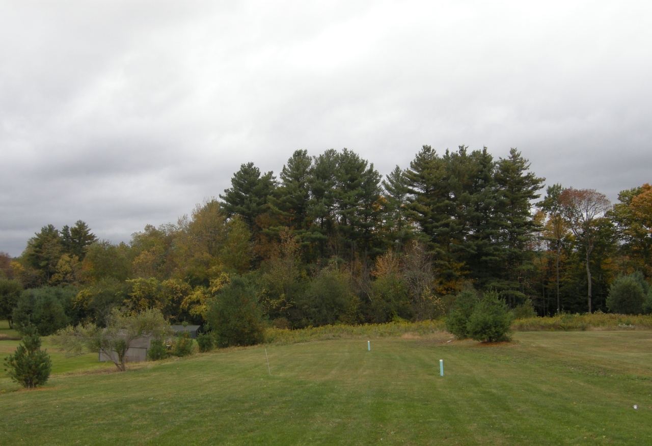 314 Dalton Division Road Pittsfield, MA 01201 - Photo 13 of 14 Backyard