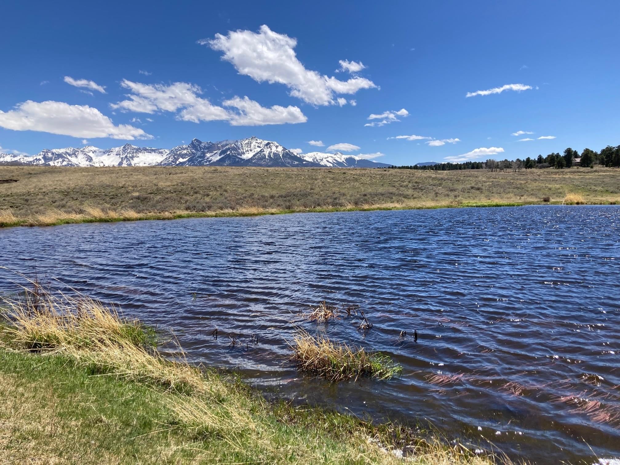 13 County Road Ridgway, CO 81432 - Photo 7 of 19 Gallery Image 7