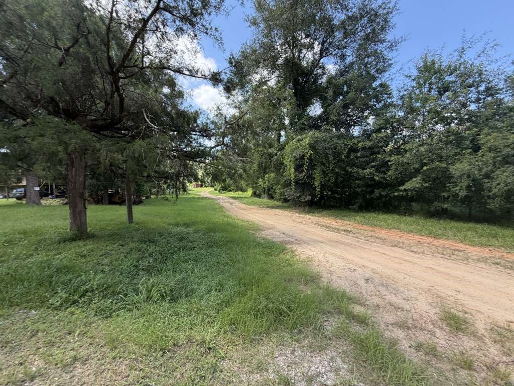 500 Warnock Glade Road Colmesneil, TX 75938 - Photo 4 of 5 Gallery Image 4
