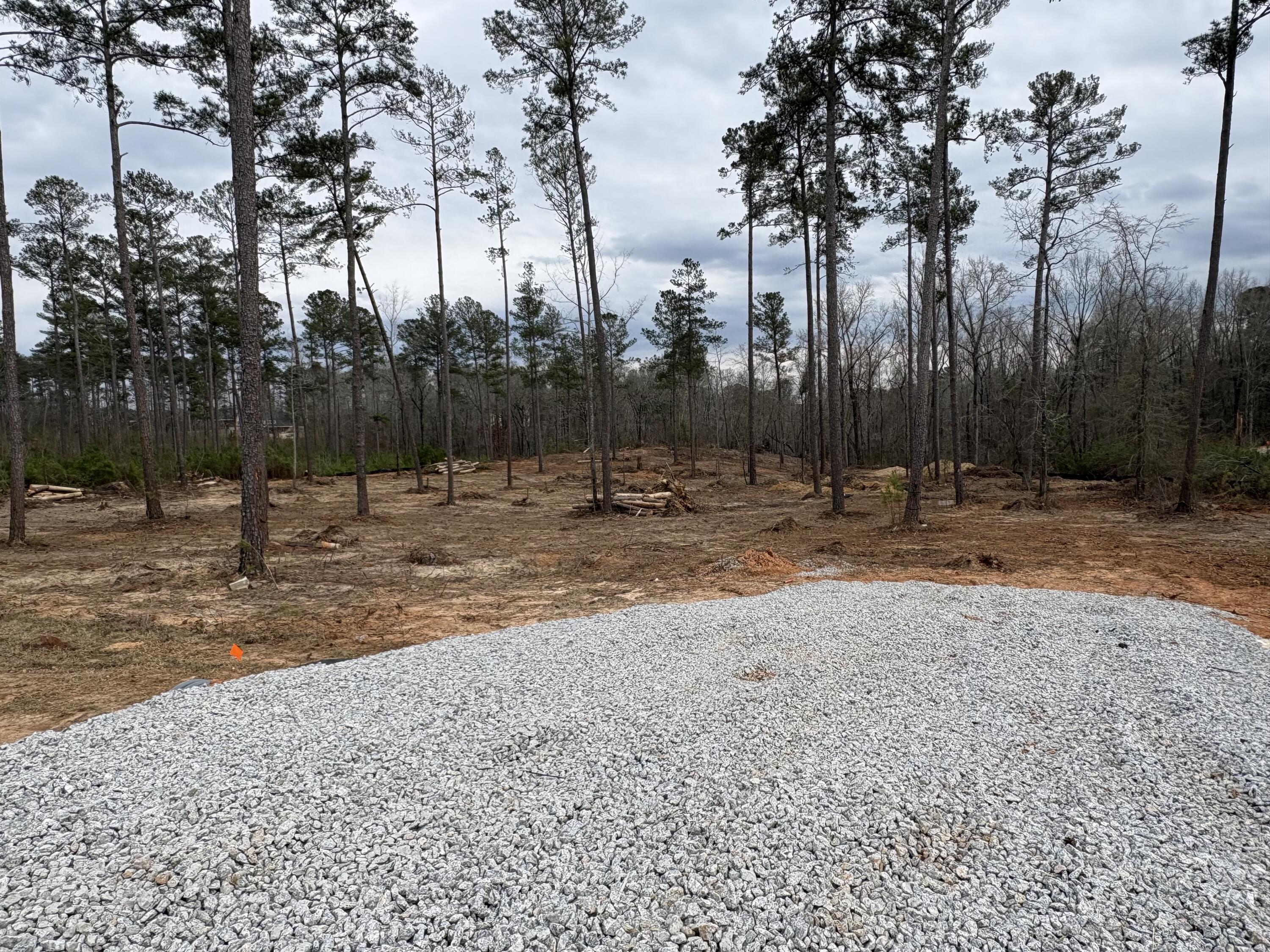 5672 White Oak Road Appling, GA 30802 - Photo 2 of 8 IMG_6052