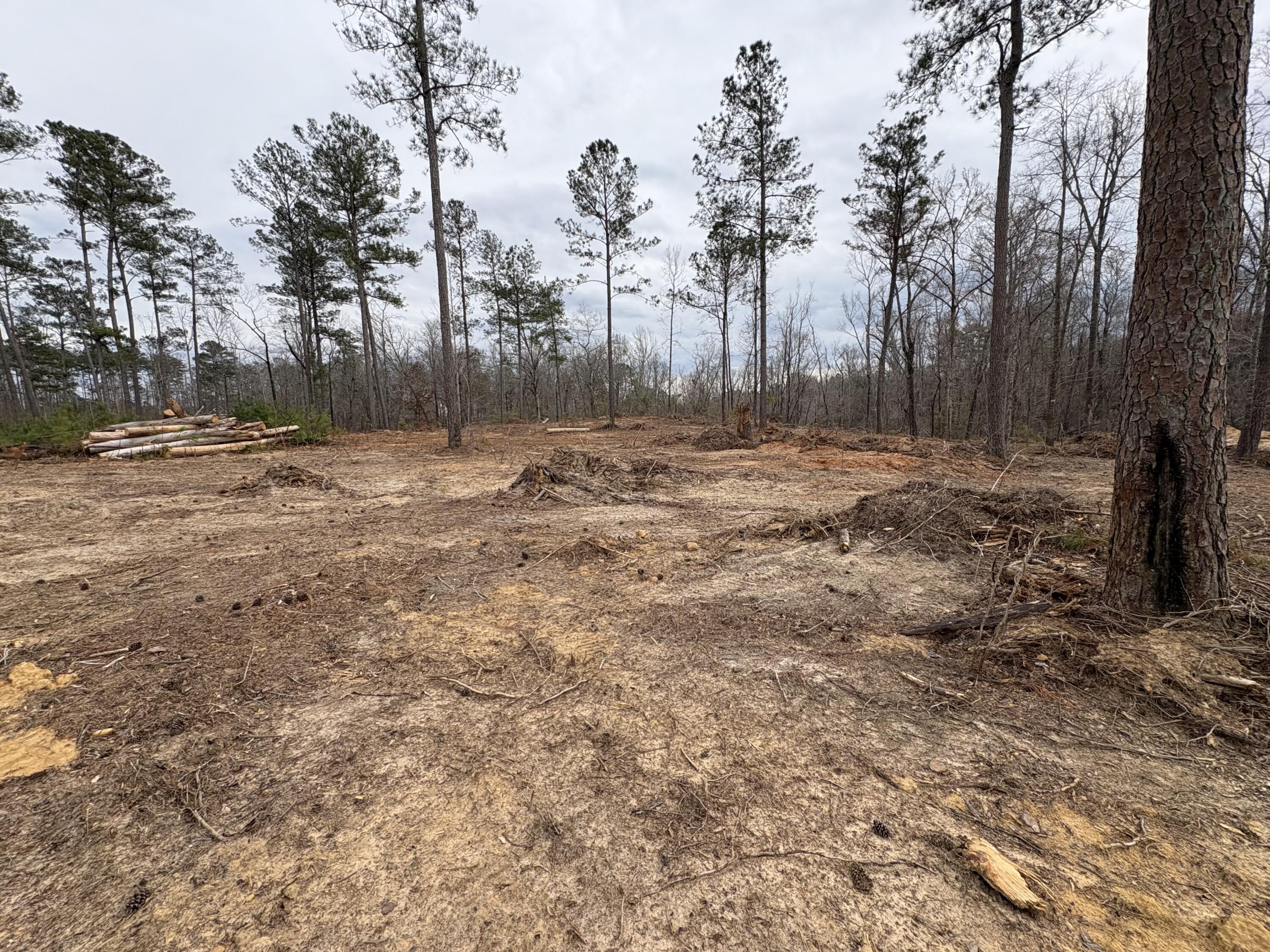 5672 White Oak Road Appling, GA 30802 - Photo 5 of 8 IMG_6055