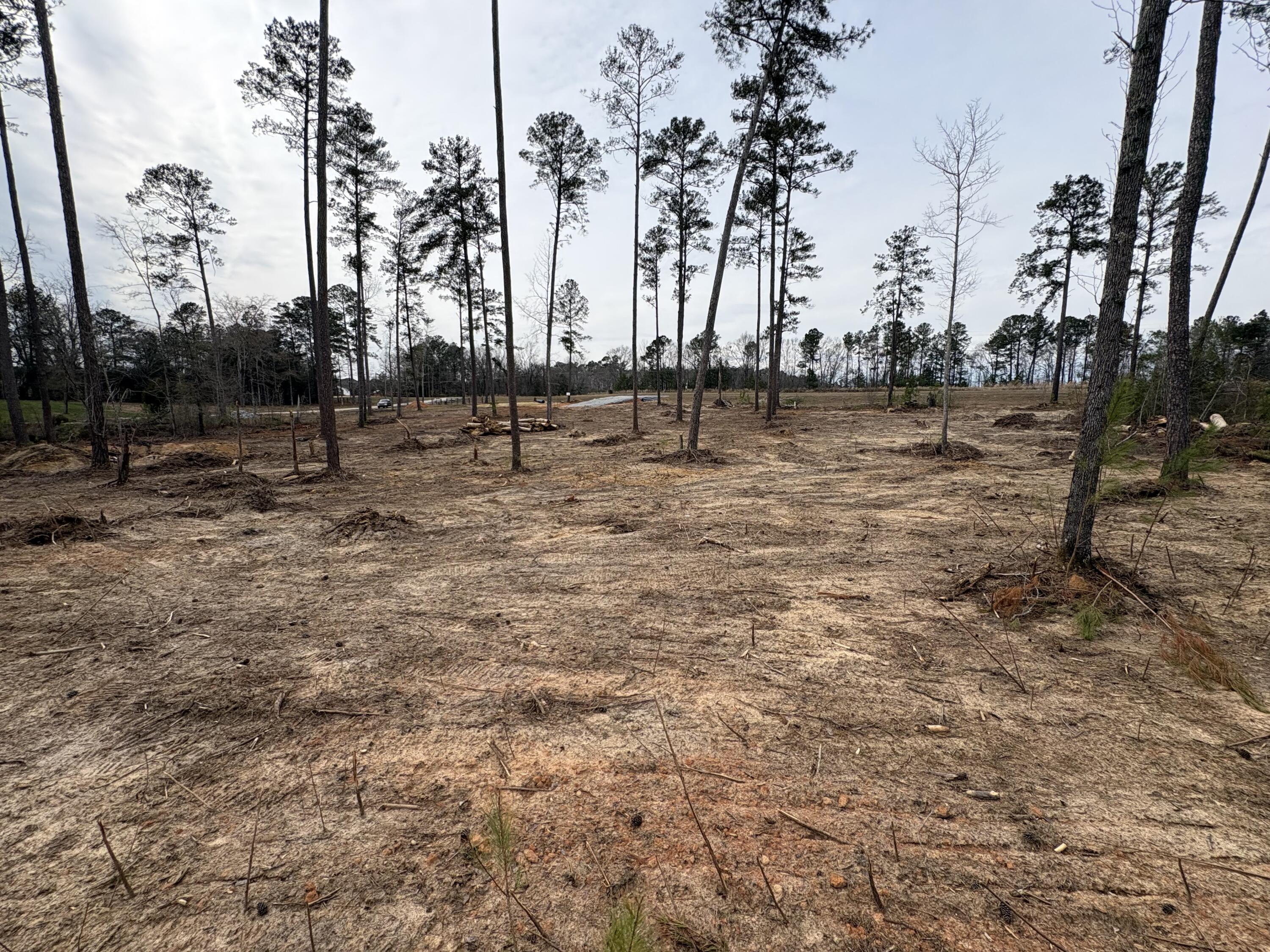 5672 White Oak Road Appling, GA 30802 - Photo 6 of 8 IMG_6056