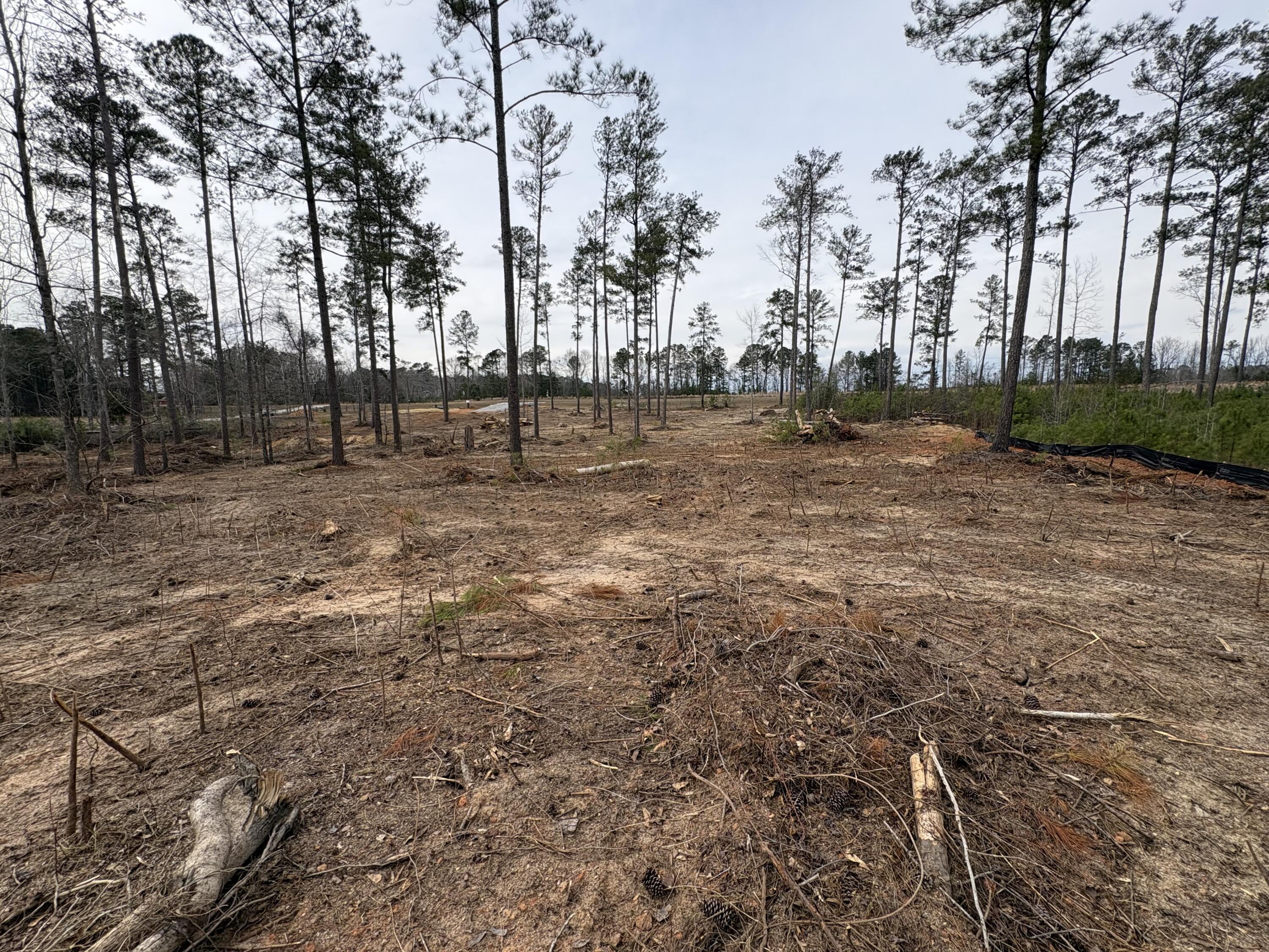 5672 White Oak Road Appling, GA 30802 - Photo 8 of 8 IMG_6059