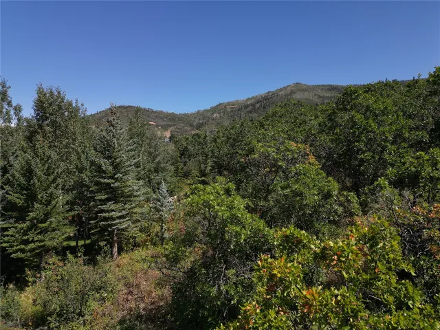 a view of a mountain