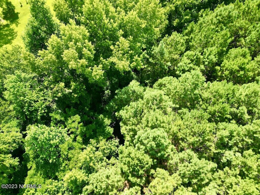 0 Hewitt Road Richlands, NC 28574 - Photo 15 of 35 14