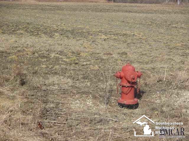 0 Corkins Carleton, MI 48117 - Photo 4 of 6