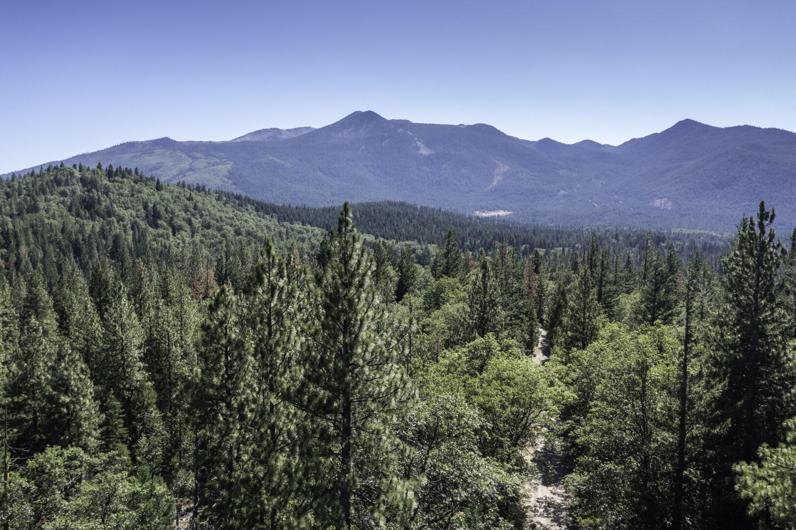 Hazelnut Lane Weed, CA 96094 - Photo 1 of 12 Drone 2