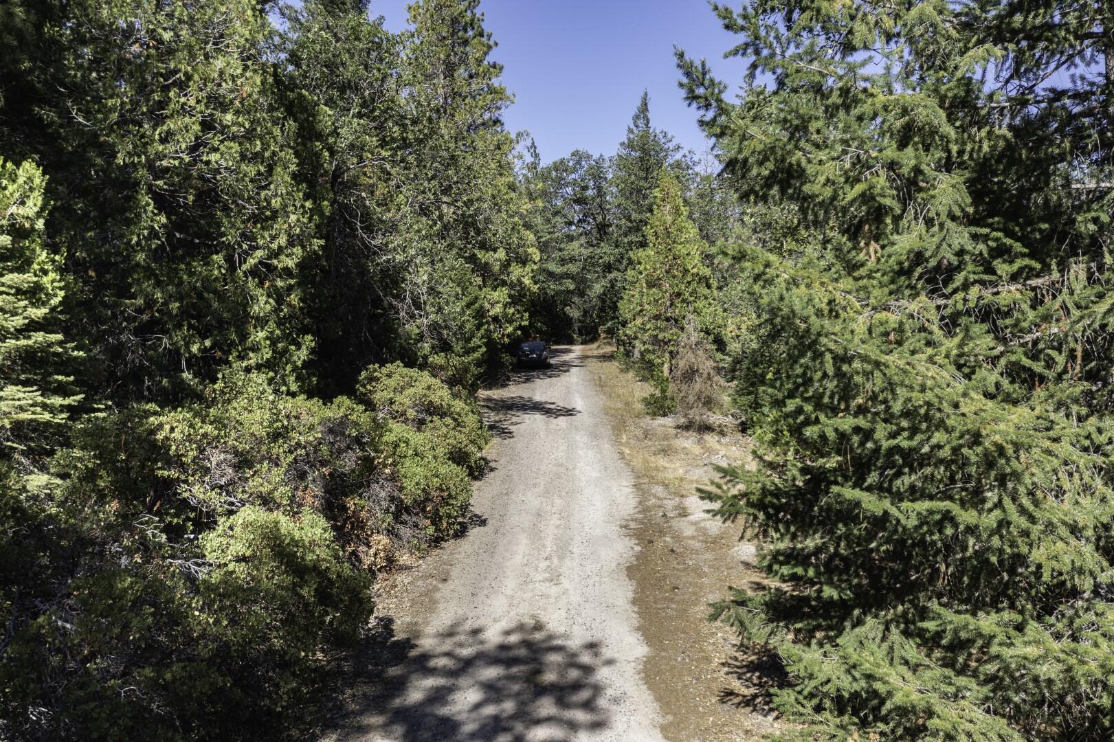 Hazelnut Lane Weed, CA 96094 - Photo 11 of 12 Drone 7