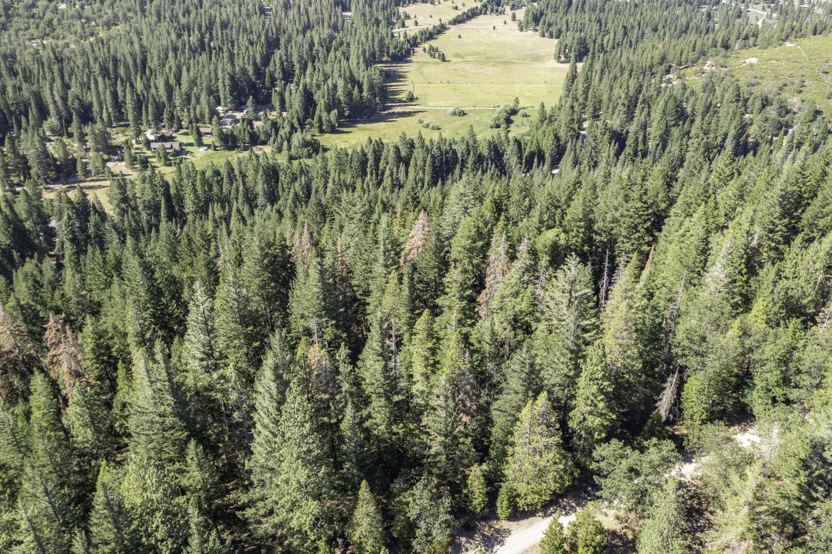 Hazelnut Lane Weed, CA 96094 - Photo 3 of 12 Drone 5