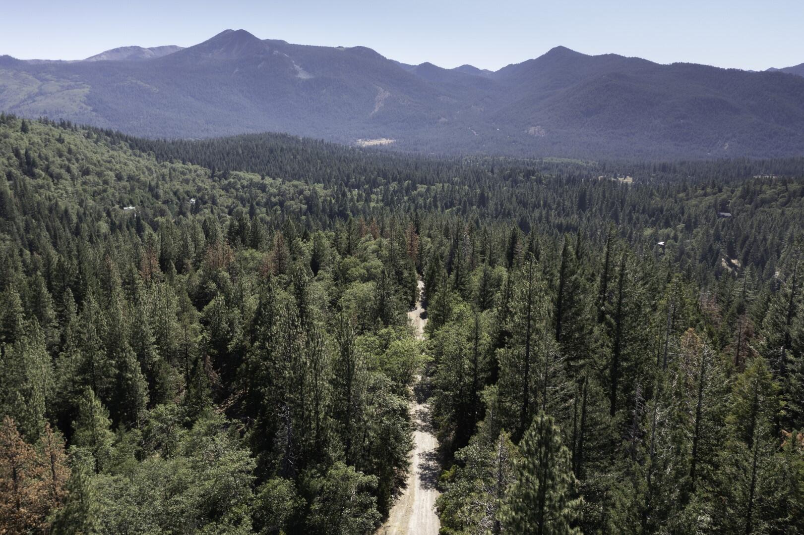 Hazelnut Lane Weed, CA 96094 - Photo 9 of 12 Drone 6