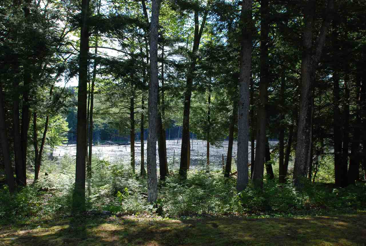 486 Brown Hill Road Belmont, NH 03220 - Photo 19 of 19 Gallery Image 19