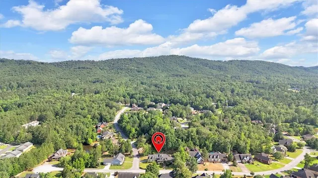 a black and white photo of a painting