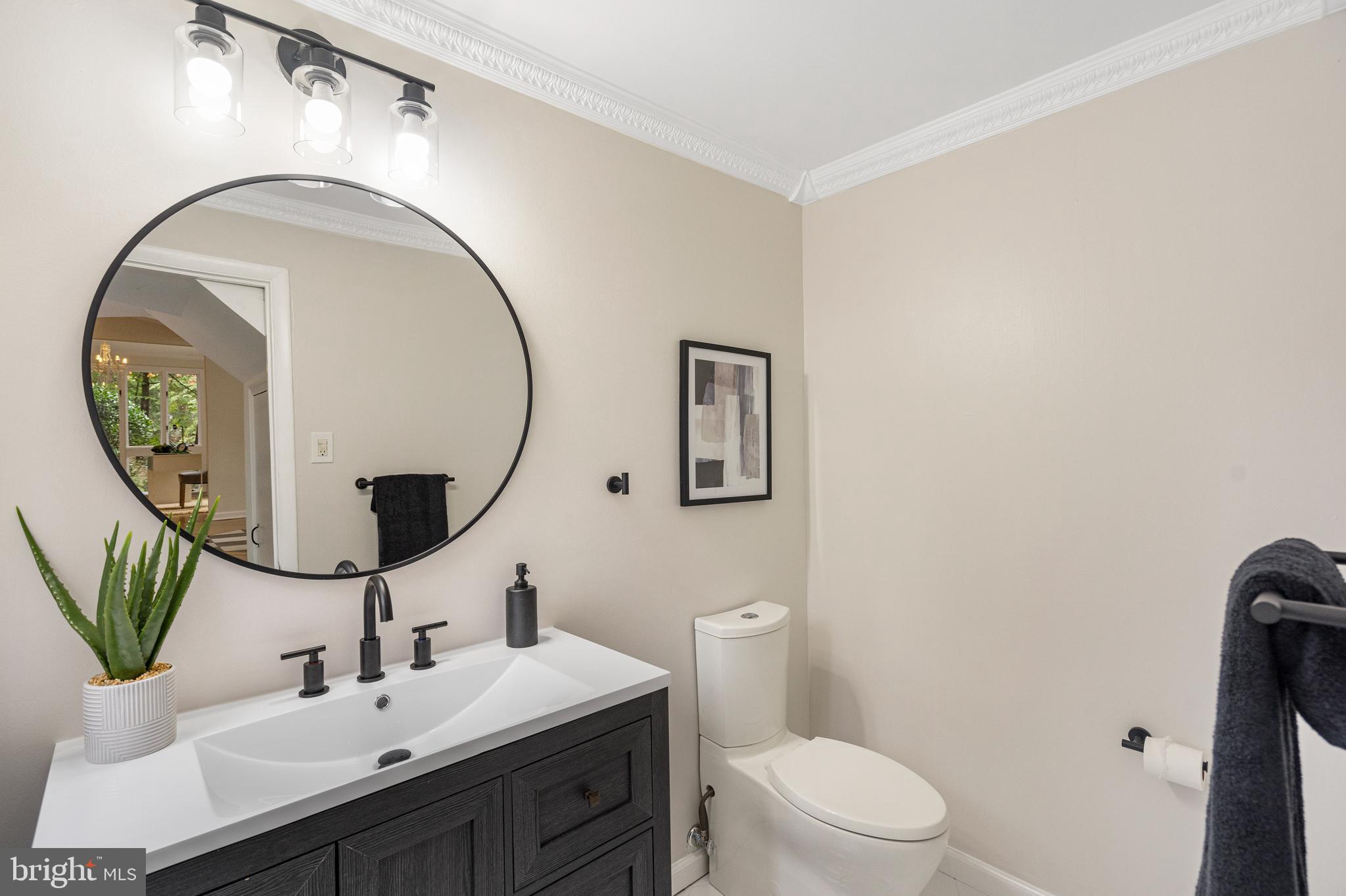 4 Bucksway Road Owings Mills, MD 21117 - Photo 22 of 57 a bathroom with a toilet a sink and a mirror