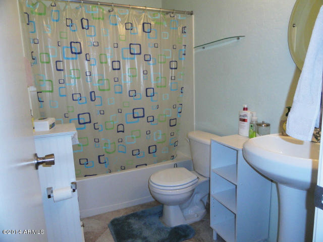 13005 West Bloomfield Road El Mirage, AZ 85335 - Photo 11 of 14 HALL BATH