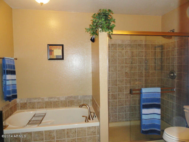 13005 West Bloomfield Road El Mirage, AZ 85335 - Photo 9 of 14 MASTER BATH