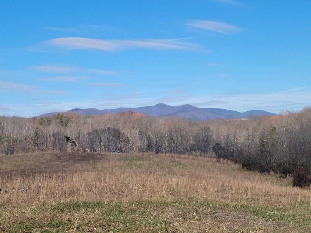 Tbd Wayside Road Stuart, VA 24171 - Photo 3 of 16 Gallery Image 3