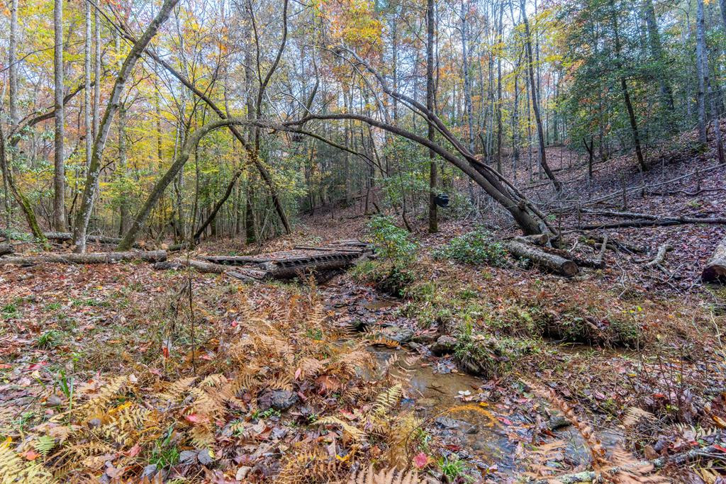 271 Kates Cv Road Murphy, NC 28906 - Photo 22 of 48