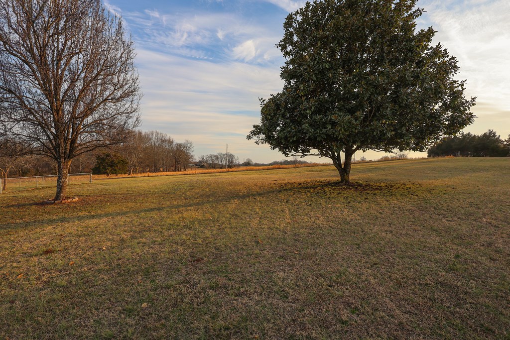5295 Old Calhoun Falls Road Calhoun Falls, SC 29628 - Photo 35 of 39 Gallery Image 35