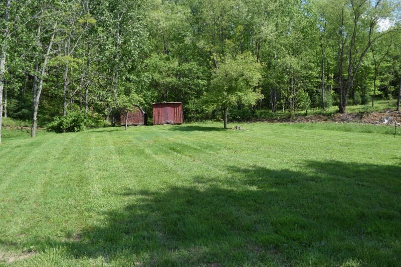 5296 Riner Road Riner, VA 24149 - Photo 5 of 18 a fire hydrant in the middle of a field