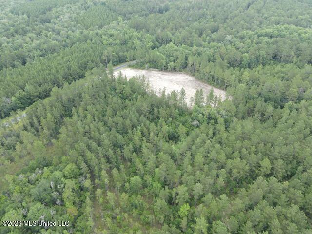 0 Stanford Lake Road Poplarville, MS 39470 - Photo 3 of 8 SL 4
