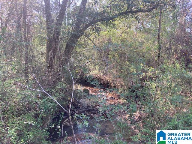 223 County Road, Unit 52 Lineville, AL 36266 - Photo 2 of 15