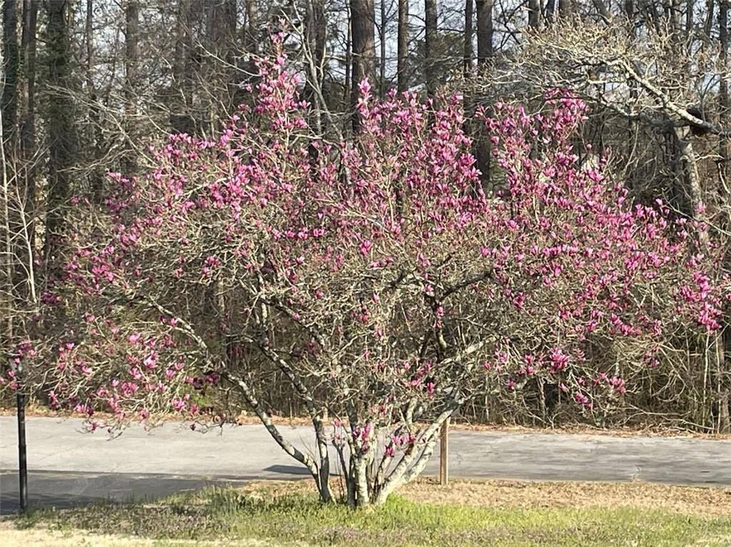 110 Lilly Valley Road Bowdon, GA 30108 - Photo 16 of 18