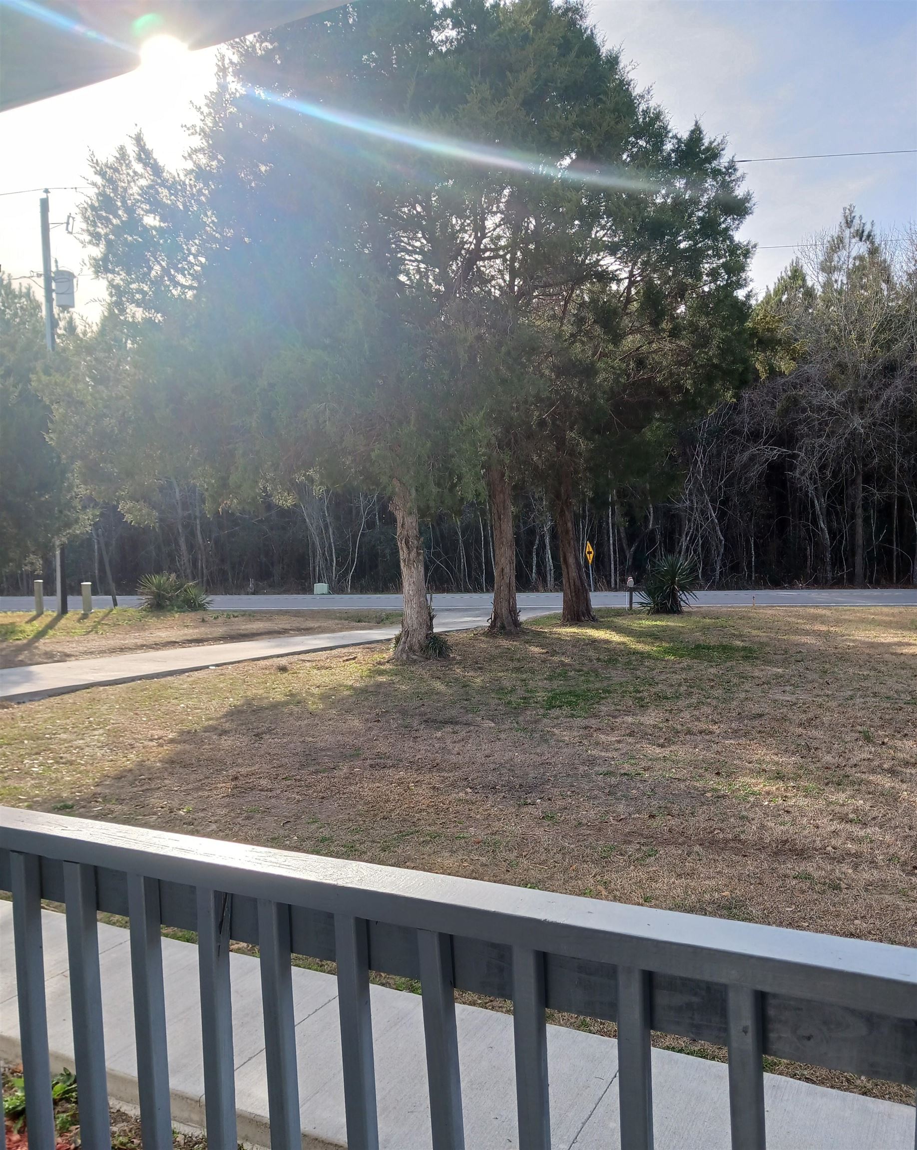 2302 South S Highway Marion, SC 29571 - Photo 4 of 4 View of yard