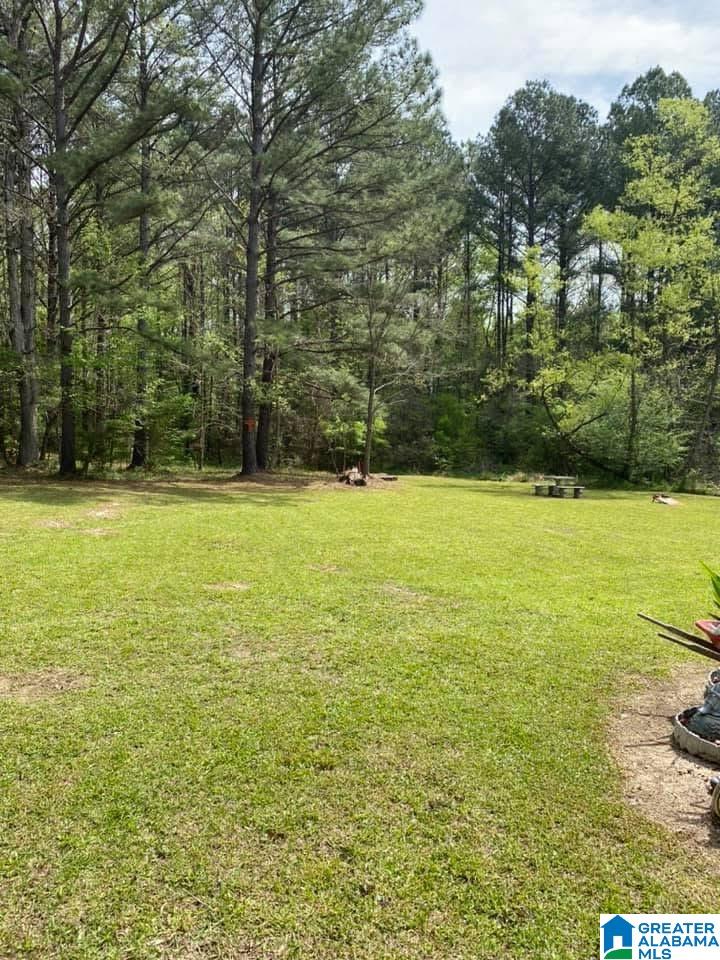 0 Evergreen Road, Unit 1 Springville, AL 35146 - Photo 4 of 14 Gallery Image 4