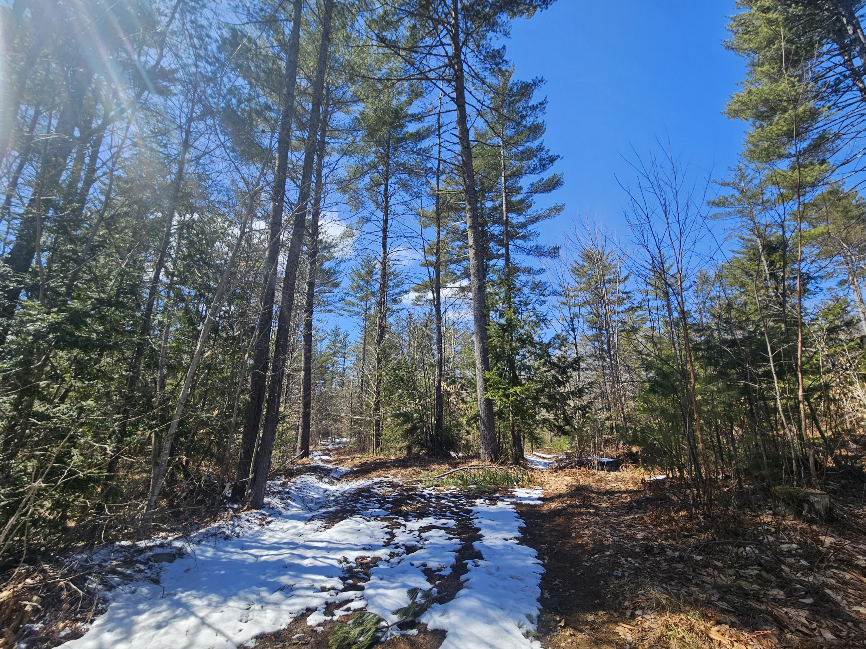Lot #33 Cape Cod Hill Road New Sharon, ME 04955 - Photo 12 of 20 20250409_131441