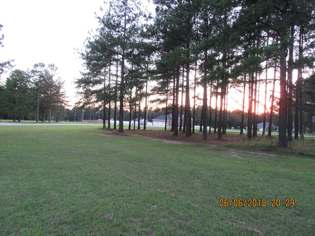 2974 Keysville Road Hephzibah, GA 30815 - Photo 27 of 28