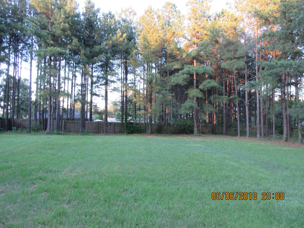 2974 Keysville Road Hephzibah, GA 30815 - Photo 4 of 28