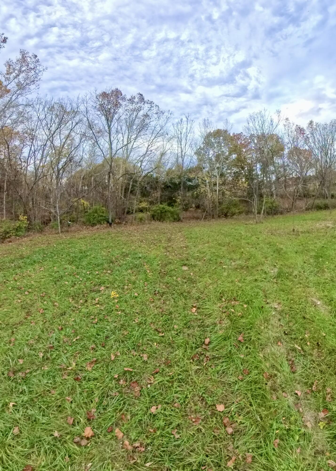 110 Stringtown Cemetery Road Crab Orchard, KY 40419 - Photo 27 of 29 IMG_20241031_192917_711