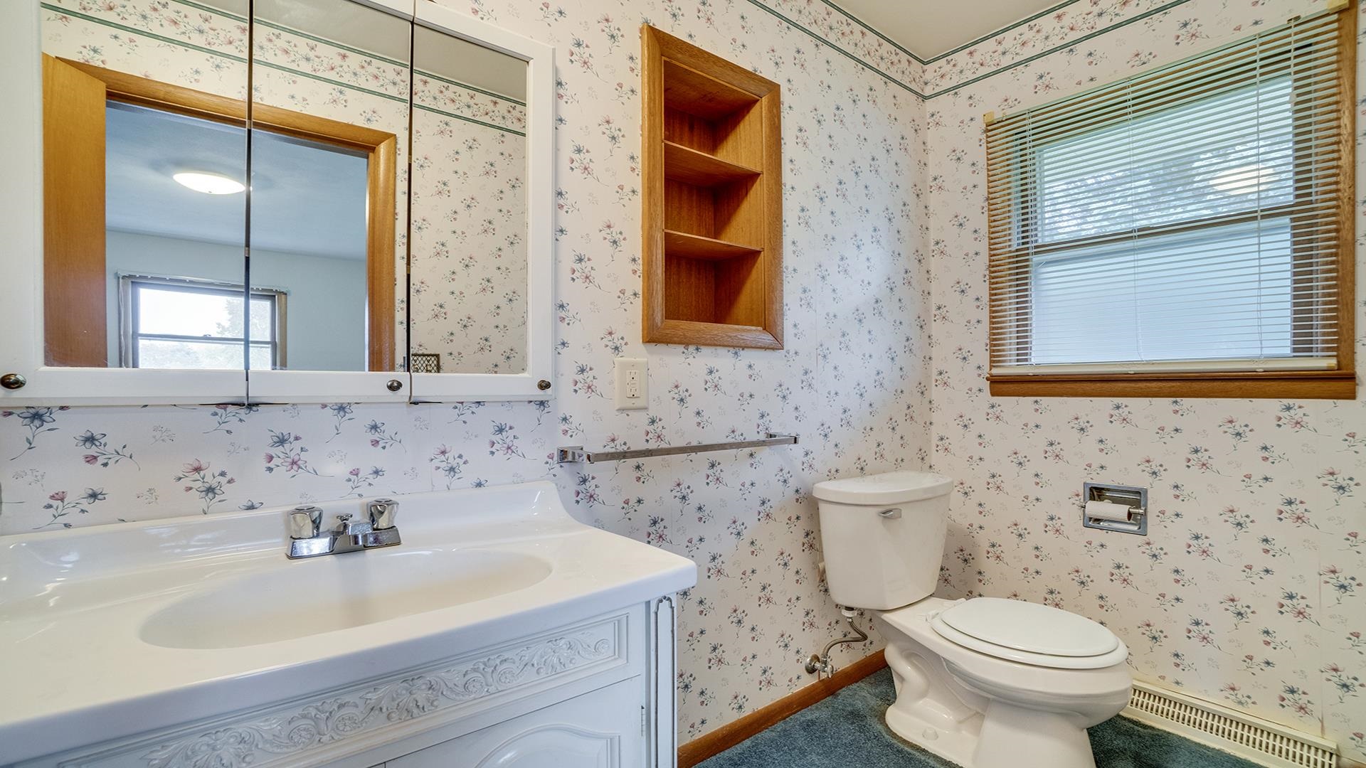 1405 Crest Lane Rochelle, IL 61068 - Photo 18 of 30 a bathroom with a sink a toilet and a mirror