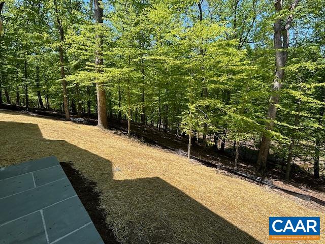 329 Carrsbrook Drive Charlottesville, VA 22901 - Photo 29 of 75 a view of an outdoor space