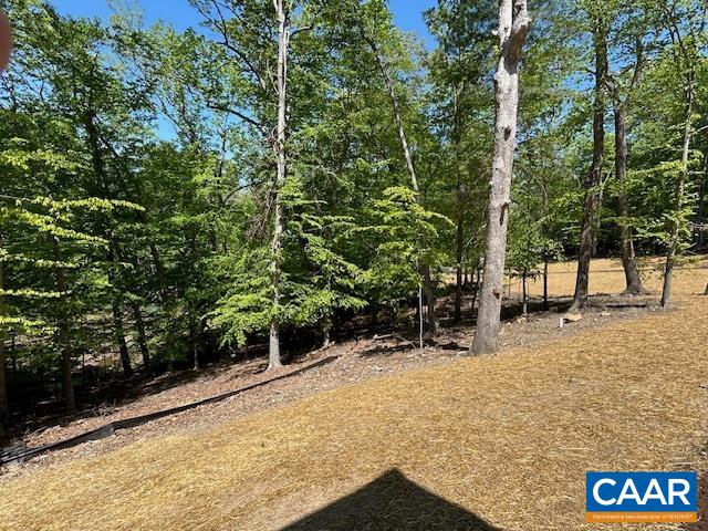 329 Carrsbrook Drive Charlottesville, VA 22901 - Photo 30 of 75 a view of outdoor space with trees