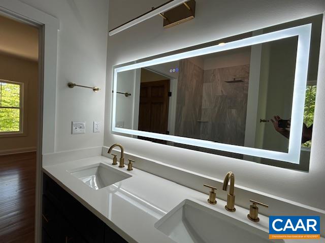 329 Carrsbrook Drive Charlottesville, VA 22901 - Photo 63 of 75 a bathroom with a sink and a large mirror