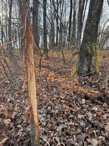 $829,900 | 28302 Hwy 80 Richland Center, Richland Center, WI 53581