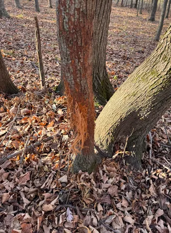 $829,900 | 28302 Hwy 80 Richland Center, Richland Center, WI 53581