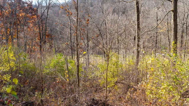 $829,900 | 28302 Hwy 80 Richland Center, Richland Center, WI 53581