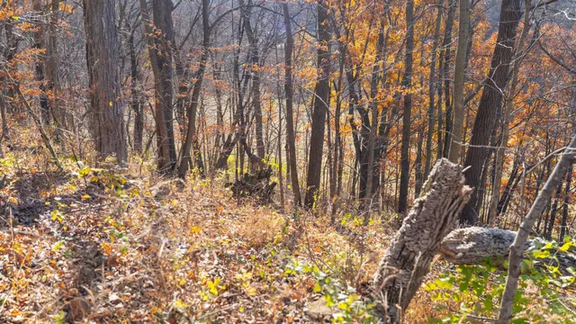 $829,900 | 28302 Hwy 80 Richland Center, Richland Center, WI 53581