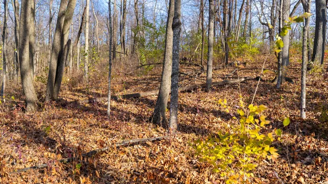 $829,900 | 28302 Hwy 80 Richland Center, Richland Center, WI 53581